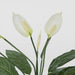 Real Touch Potted Spathiphyllum Bush 61cm White - Pack of 6