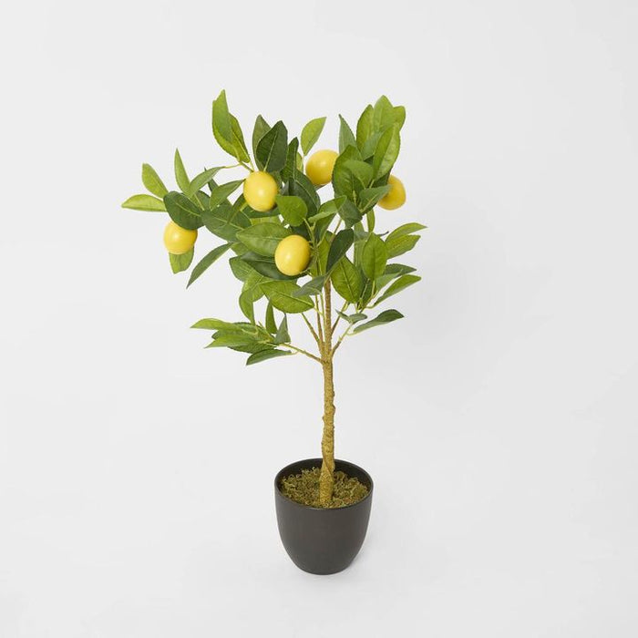 Lemon Tree 5 Fruits Yellow 70cm Pack of 2