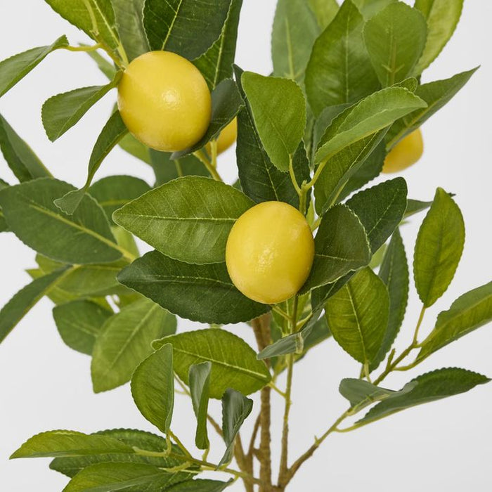 Lemon Tree 5 Fruits Yellow 70cm Pack of 2
