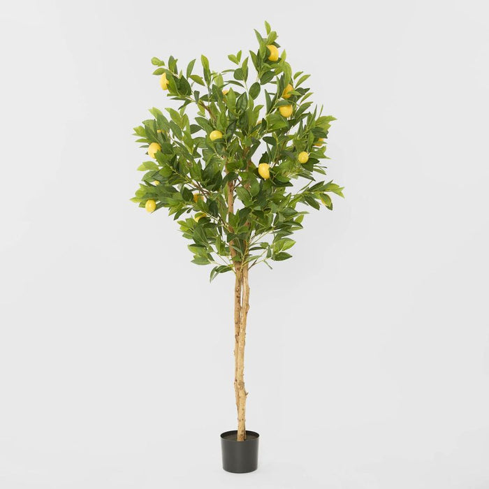 Lemon Tree Real Trunk Green 170cm