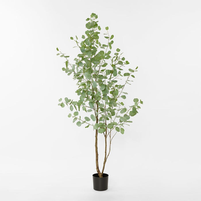 Real Touch Eucalyptus Green 200cm
