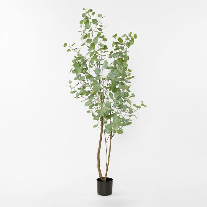 Real Touch Eucalyptus Green 200cm