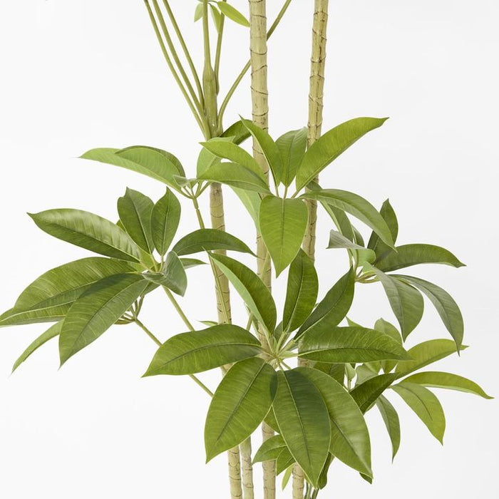 Real Touch Frangipani Tree Green 210cm