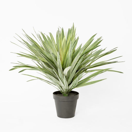 Soft Touch Potted Sisal Plant 68cm Green