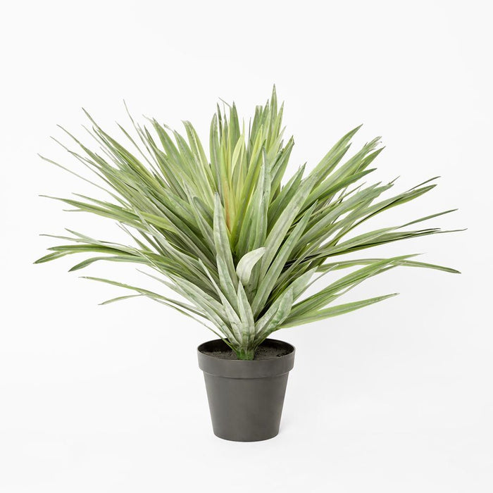 Soft Touch Potted Sisal Plant 68cm Green