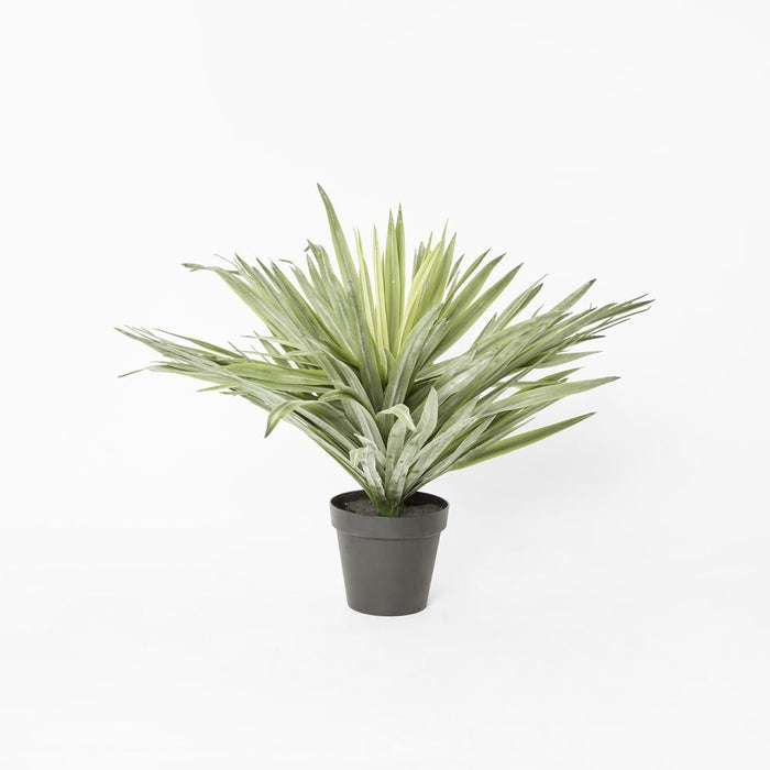 Soft Touch Potted Sisal Plant 68cm Green