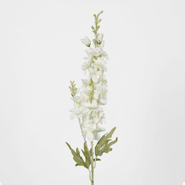 Delphinium 85cm White - Pack of 12
