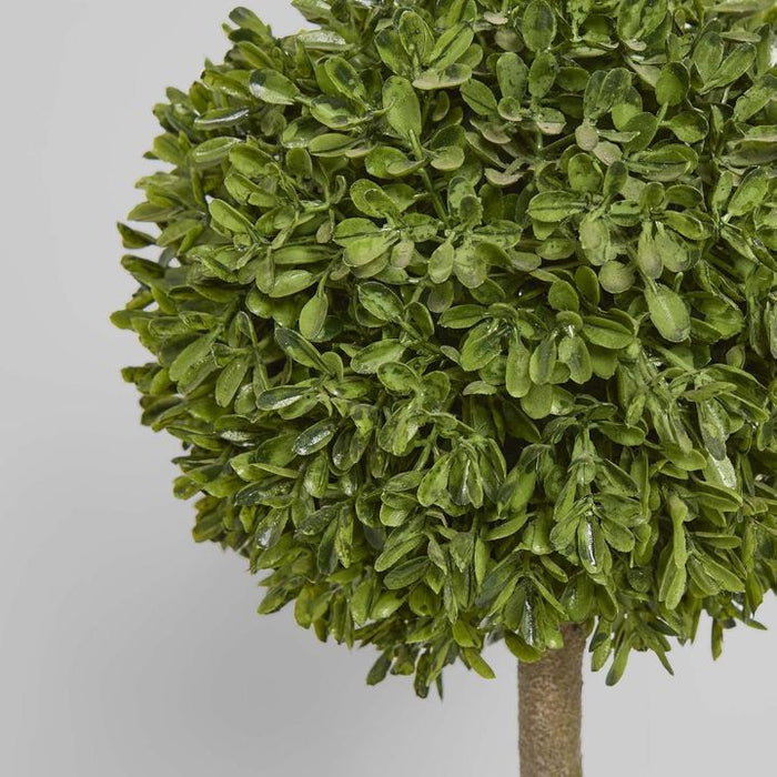 Boxwood Topiary 47cm Set of 2