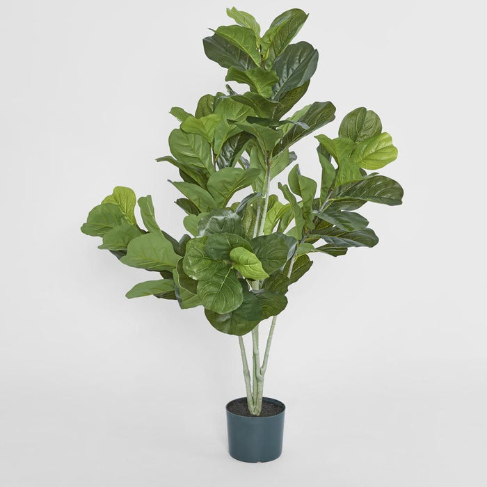 Potted Fiddle Leaf Plant Green 121cm