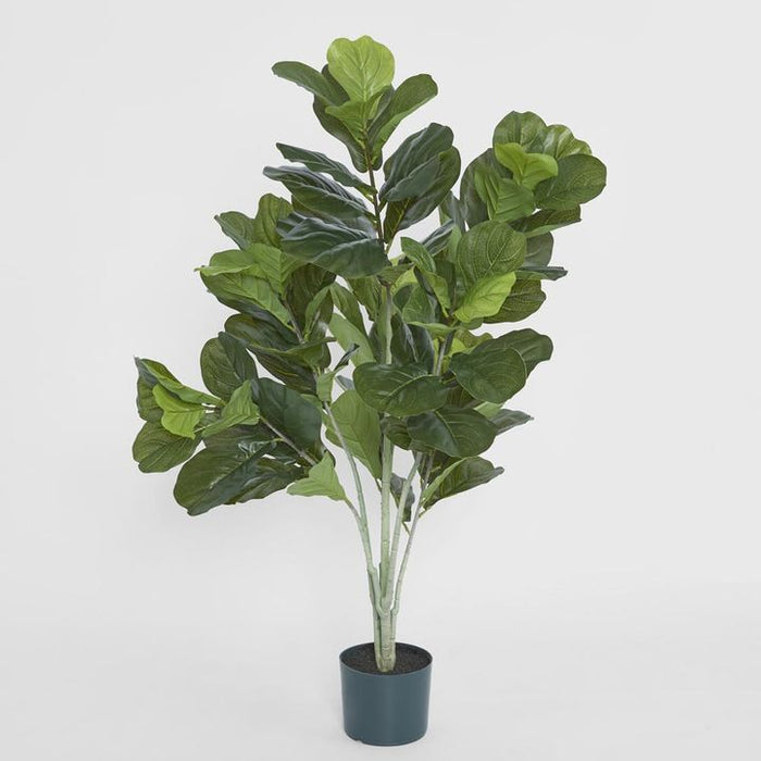 Potted Fiddle Leaf Plant Green 121cm
