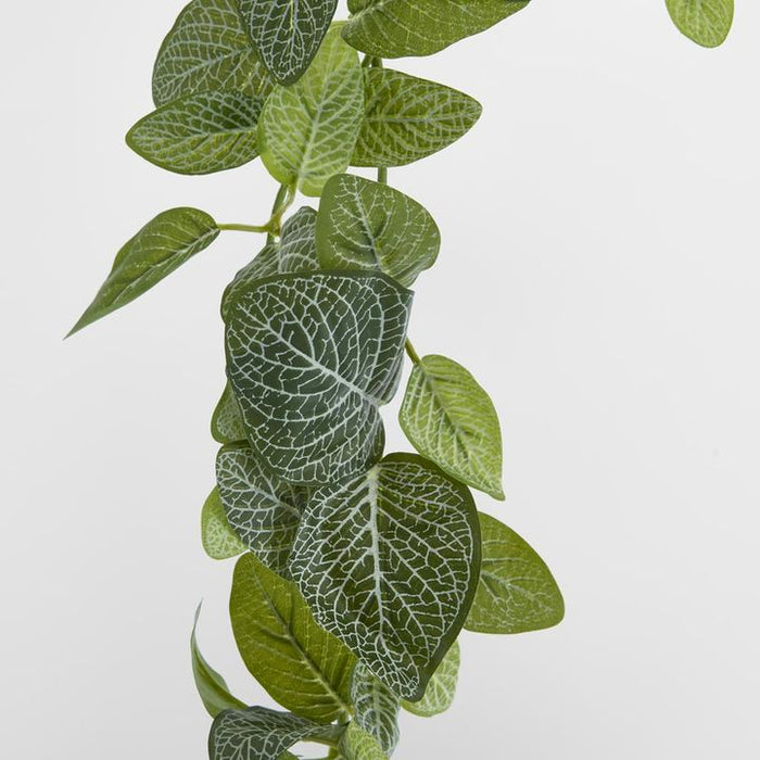 Real Touch Green Fittonia Garland Green 182cm Pack of 6