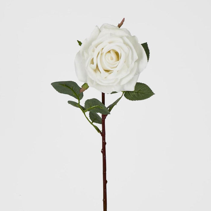 Bella Rose Real Touch 68cm White - Pack of 12