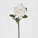 Bella Rose Real Touch 68cm White - Pack of 12