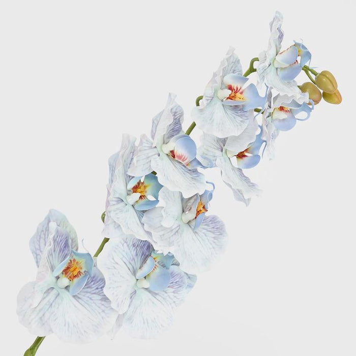 Ripple Phalaenopsis Stem Blue Blue 99cm Pack of 12