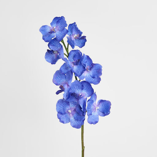 Real Touch Orchid 100cm Blue - Pack of 12