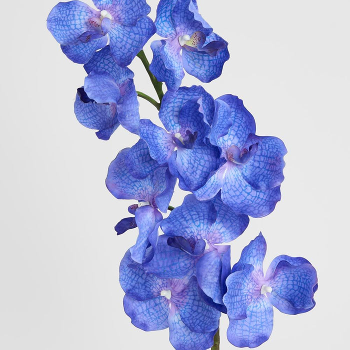 Real Touch Orchid 100cm Blue - Pack of 12