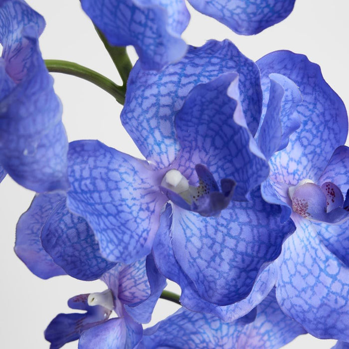 Real Touch Orchid 100cm Blue - Pack of 12