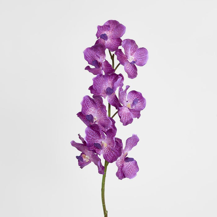 Real Touch Orchid 100cm Dark Purple - Pack of 12