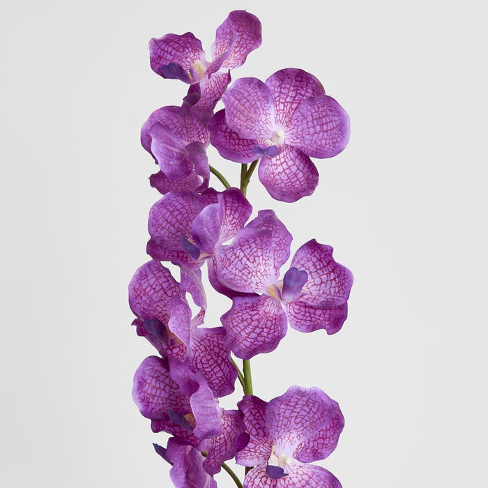 Real Touch Orchid 100cm Dark Purple - Pack of 12