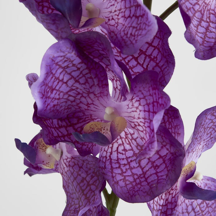Real Touch Orchid 100cm Dark Purple - Pack of 12