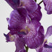 Real Touch Orchid 100cm Dark Purple - Pack of 12