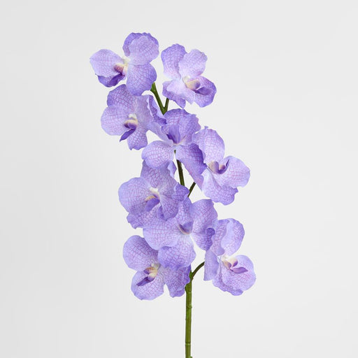 Real Touch Orchid 100cm Lavender Purple - Pack of 12