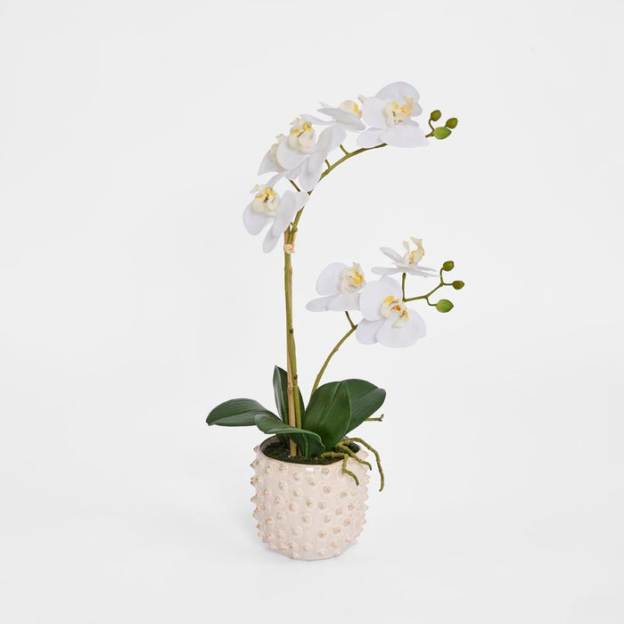 Spike Real Touch Potted Phalaenopsis Orchid SML 55cm White