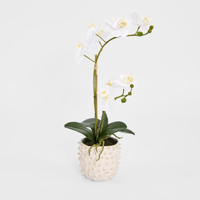 Spike Real Touch Potted Phalaenopsis Orchid SML 55cm White