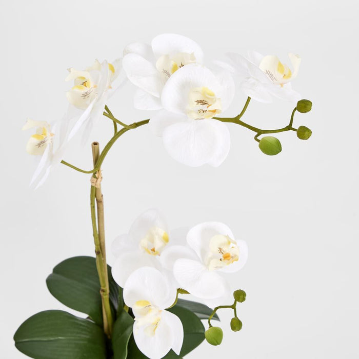 Spike Real Touch Potted Phalaenopsis Orchid SML 55cm White
