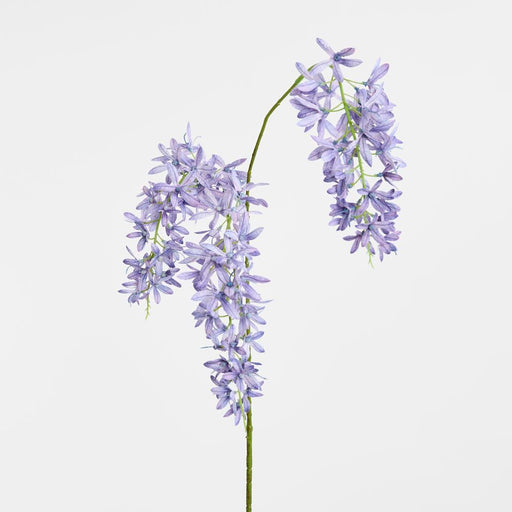 Trailing Wisteria 118cm Lavender - Pack of 24