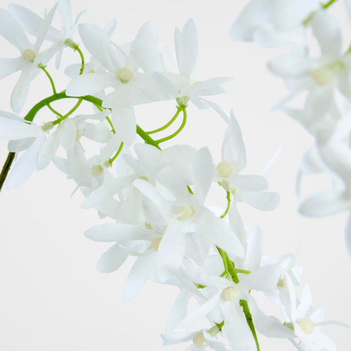 Trailing Wisteria 118cm White - Pack of 24