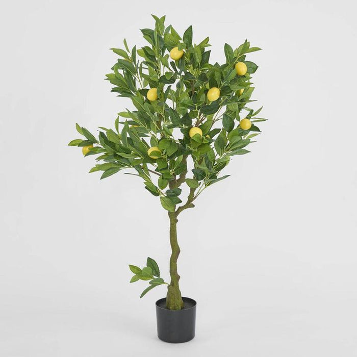 Lemon Tree Real Touch Green 120cm