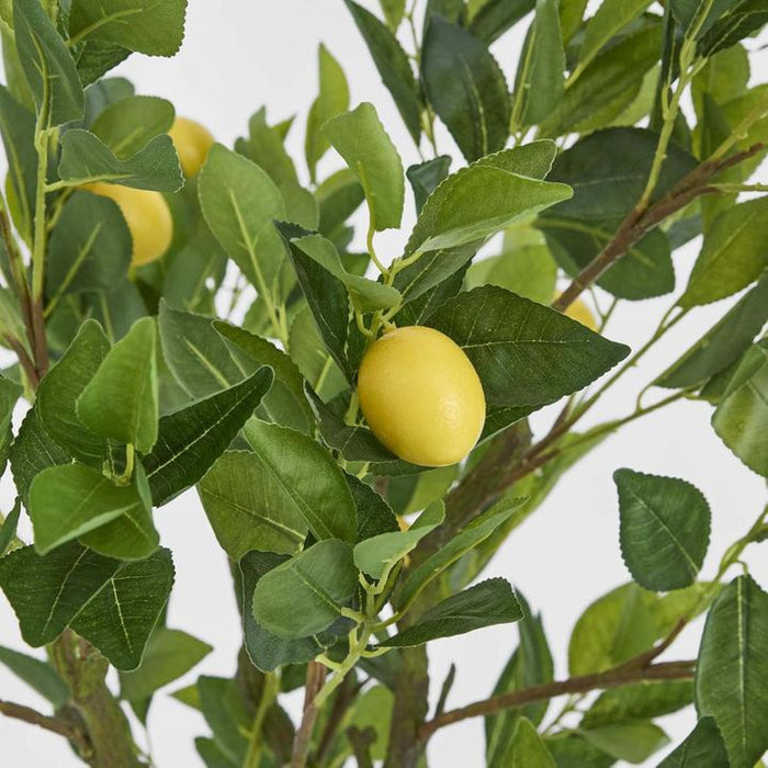 Lemon Tree Real Touch Green 120cm