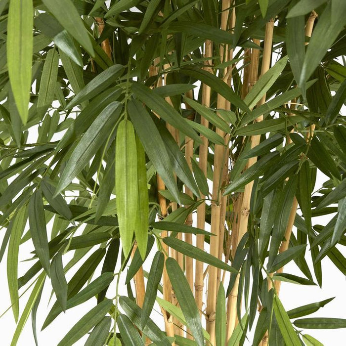 New Bamboo Tree 220cm