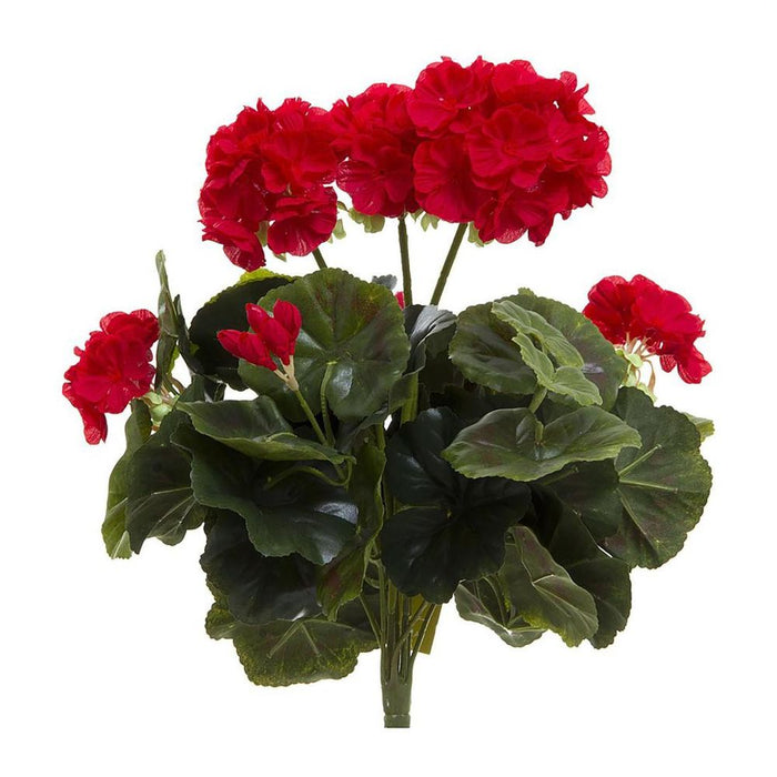 Geranium Bush Red 38cm Pack of 6