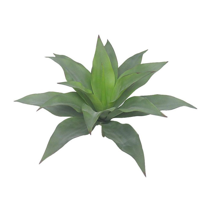 Agave Green 30cm Pack of 4
