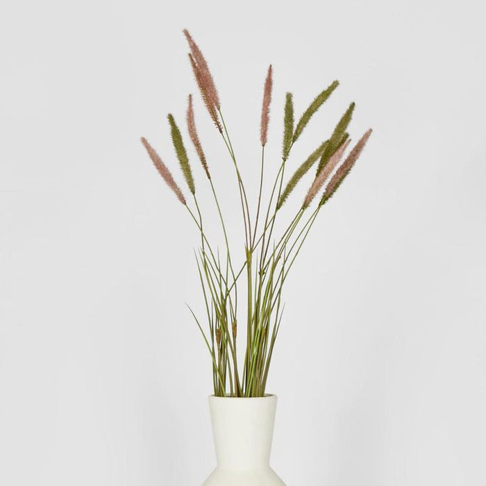 Foxtail Green Spray - Pack of 12