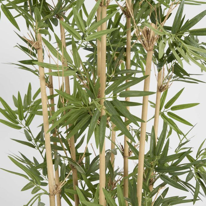 Japanese Bamboo Tree 120cm