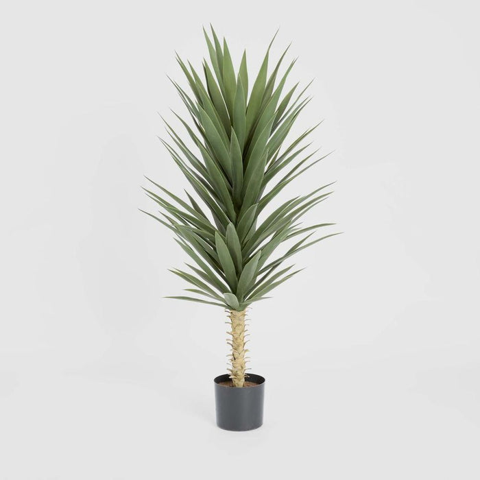 Yucca Plant with Pot 130cm