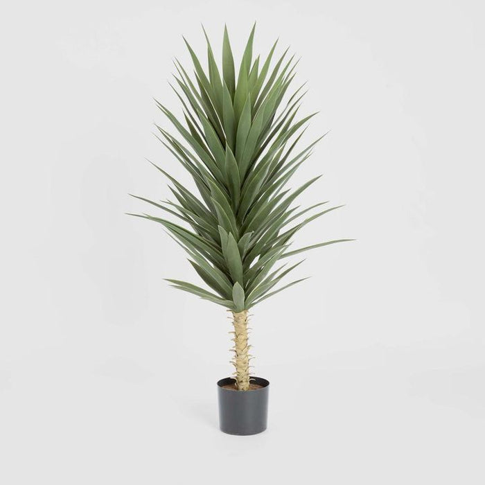 Yucca Plant with Pot 130cm