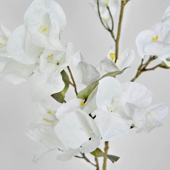 Bougainvillea Spray White 97cm Pack of 6