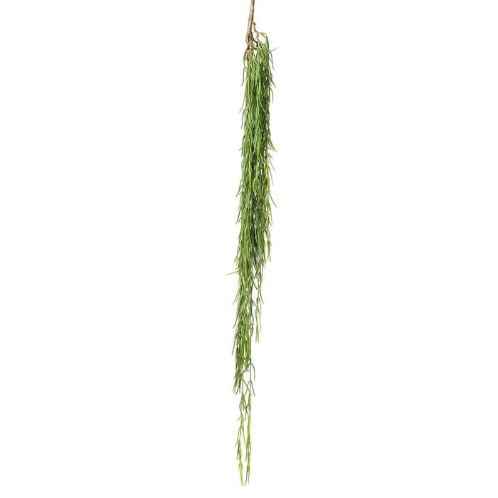 Herb Hanging Bush 90cm Pack of 12