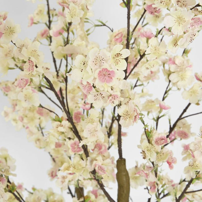 Cherry Blossom Tree Light Pink 145cm