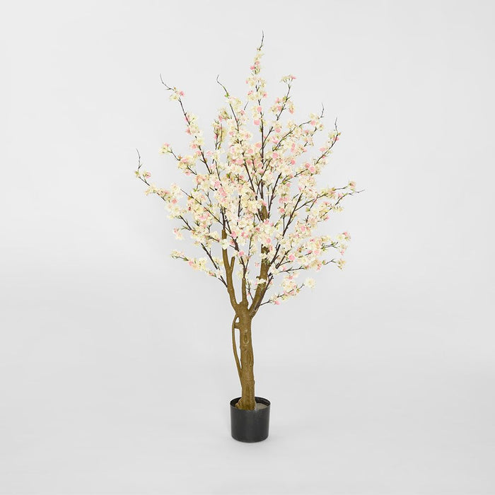 Cherry Blossom Tree Light Pink 145cm