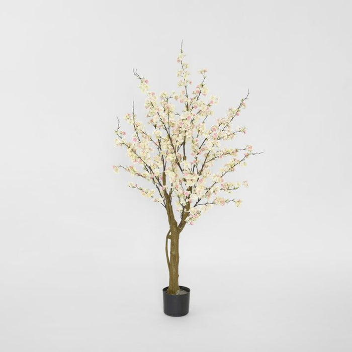 Cherry Blossom Tree Light Pink 145cm