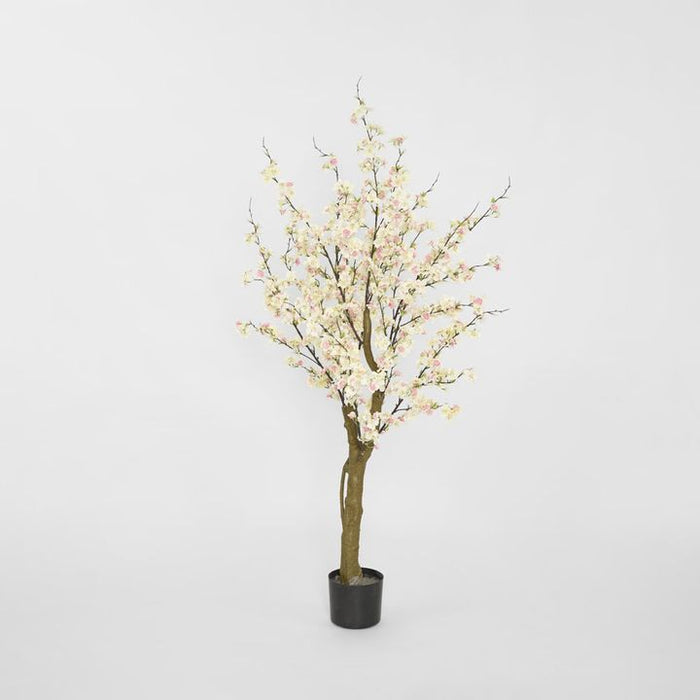 Cherry Blossom Tree Light Pink 145cm