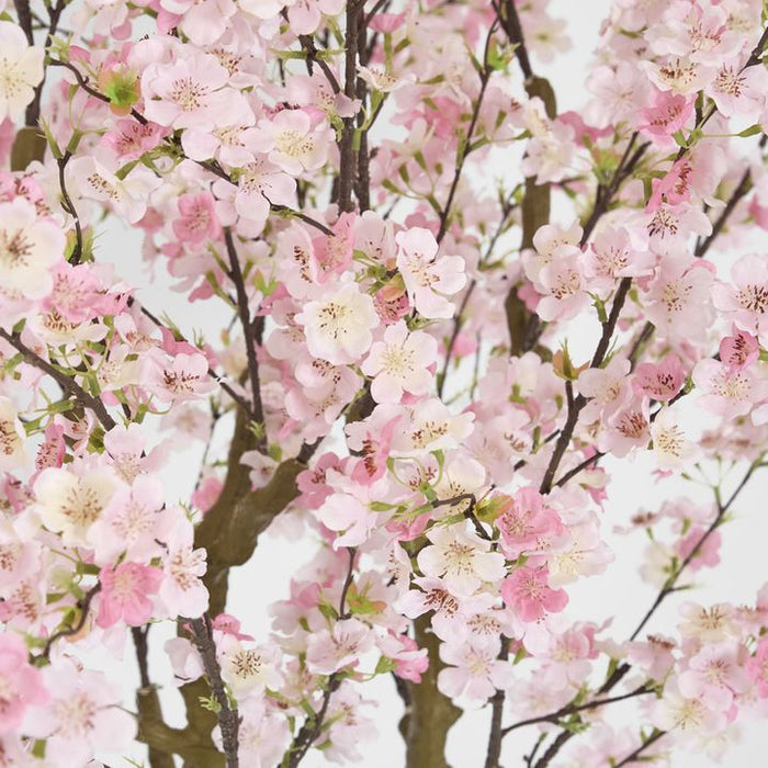 Cherry Blossom Tree Pink 190cm