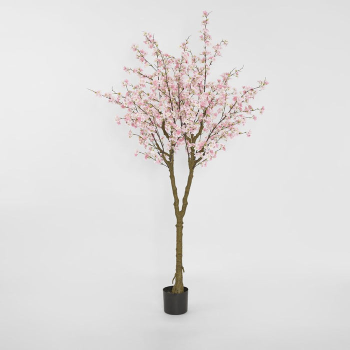 Cherry Blossom Tree Pink 190cm