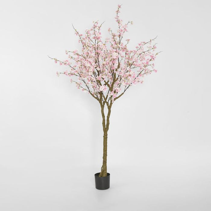 Cherry Blossom Tree Pink 190cm