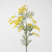 Australian Wattle 85cm Yellow - Pack of 12